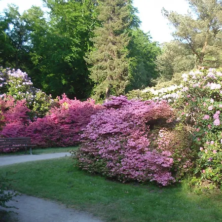 Ferienobjekt Mueritz A9 Graal-Mueritz