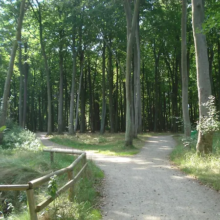 Lägenhet Ferienobjekt Mueritz A9 *